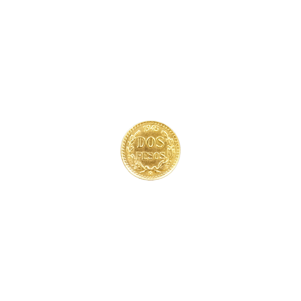 store_article_bNmhc6xU2o.png