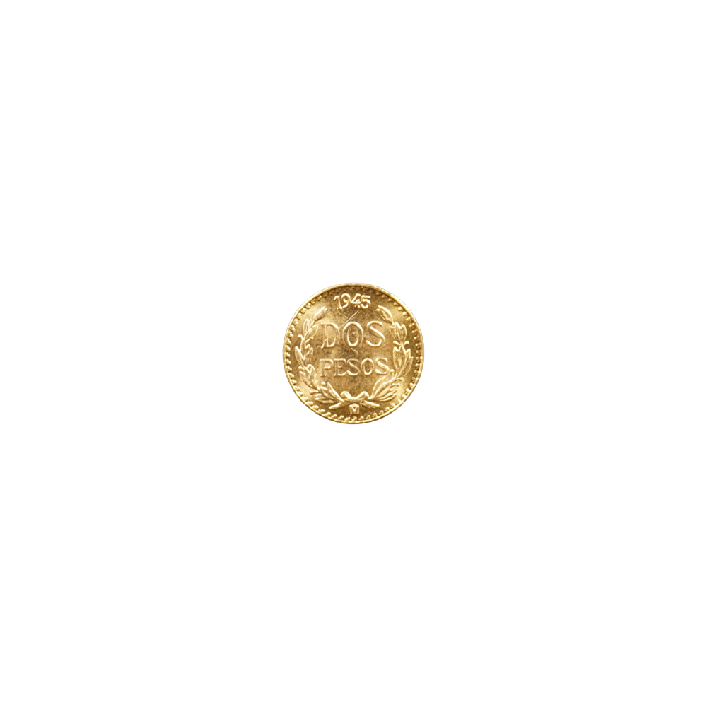 store_article_nWxE9Uzuxi.png
